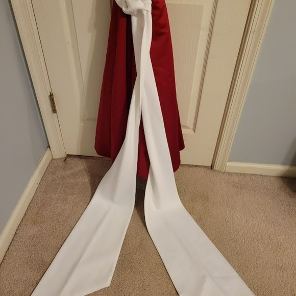 Formal Bridesmaids / Prom Dress - Apple color - Picture 3 of 7